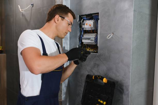 Best Ceiling Fan Installation Electrician  in Stony Point, MI