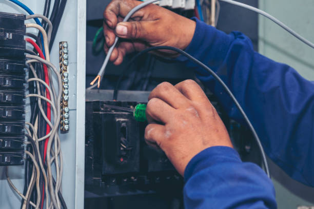Best Affordable Electrical Installation  in Stony Point, MI