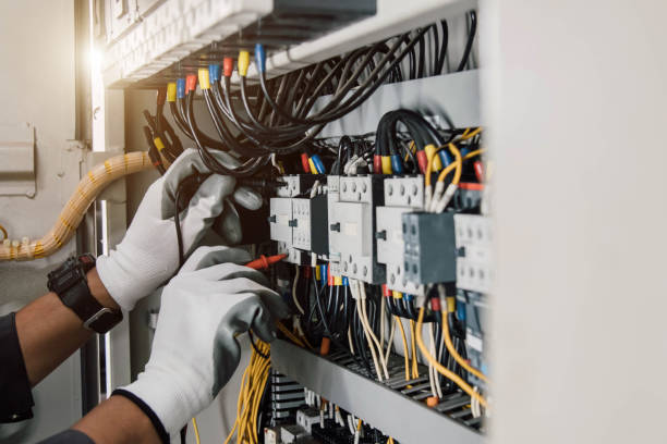 Best Electrical Repair Services  in Stony Point, MI