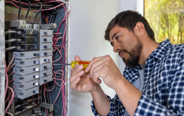 Best Affordable Emergency Electrician  in Stony Point, MI